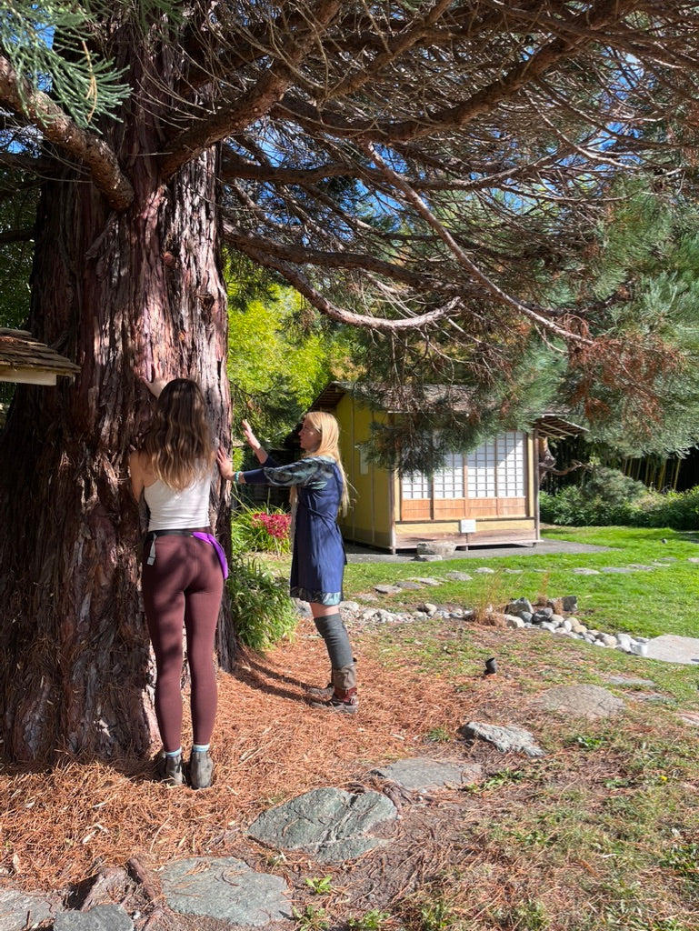 Forest Therapy Spring/Summer Session 2: Summer Solstice - June 20th, 2025