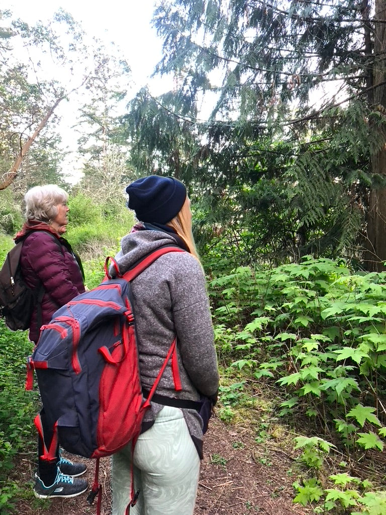 π² Forest Therapy Fall Session 1 - Oct. 18th, 2025