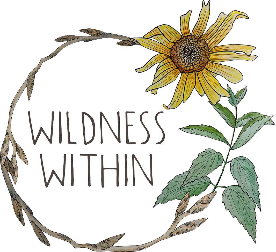 🫖Herbal Teas 101 - Part 1/3 Medicine Making Series - Oct. 23rd, 2025