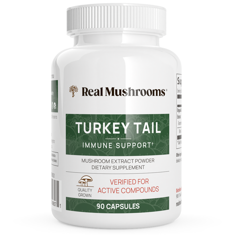 Turkey Tail Mushroom Extract Capsules Herbanwellness
