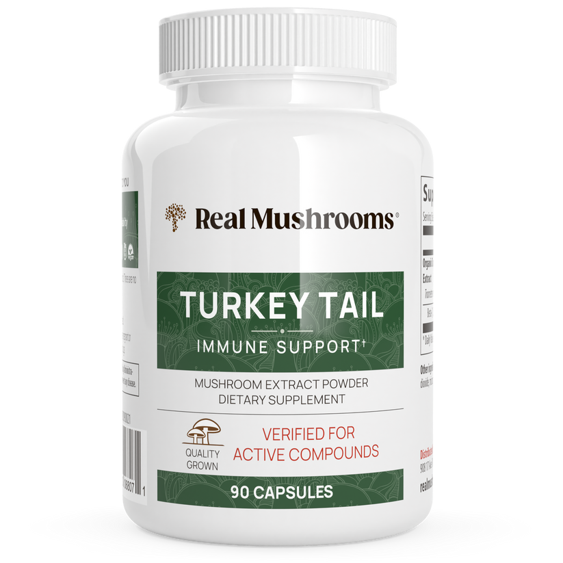Turkey Tail Mushroom Extract Capsules