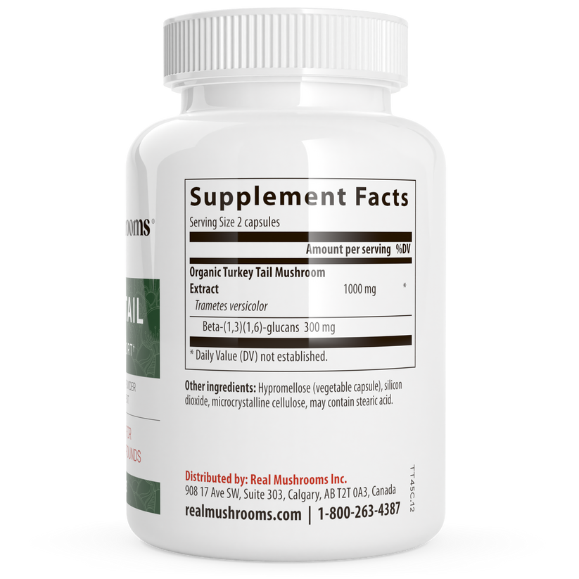 Turkey Tail Mushroom Extract Capsules