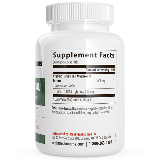 Turkey Tail Mushroom Extract Capsules
