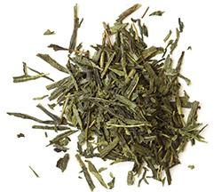 Bancha Green Tea
