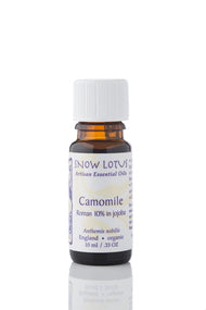 Camomile, Roman 10% EO in Jojoba Oil