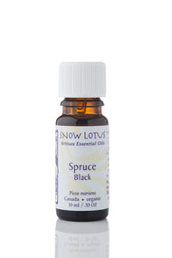 Spruce, Black EO