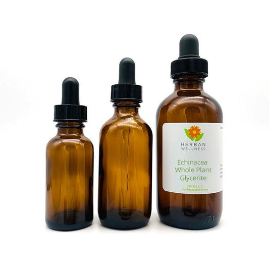 Echinacea Whole Plant Glycerite