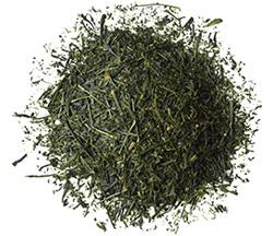 Sencha Green Tea