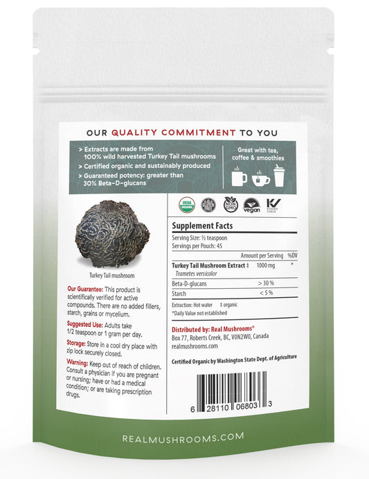 Turkey Tail Mushroom Extract Powder