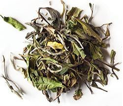 White Peony White Tea