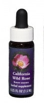 California Wild Rose FE