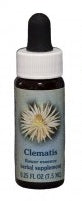 Clematis FE
