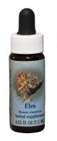 Elm FE