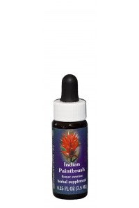 Indian Paintbrush FE