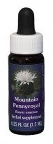 Mountain Pennyroyal FE