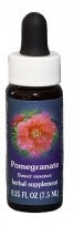 Pomegranate FE