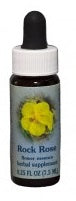 Rock Rose FE