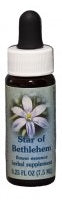Star of Bethlehem FE