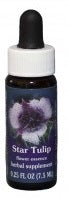 Star Tulip FE