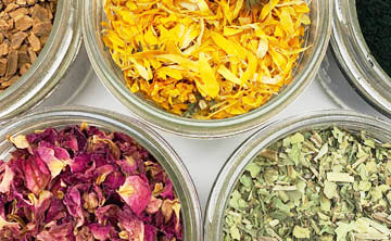 Herban Wellness Bulk Herbs and Powders