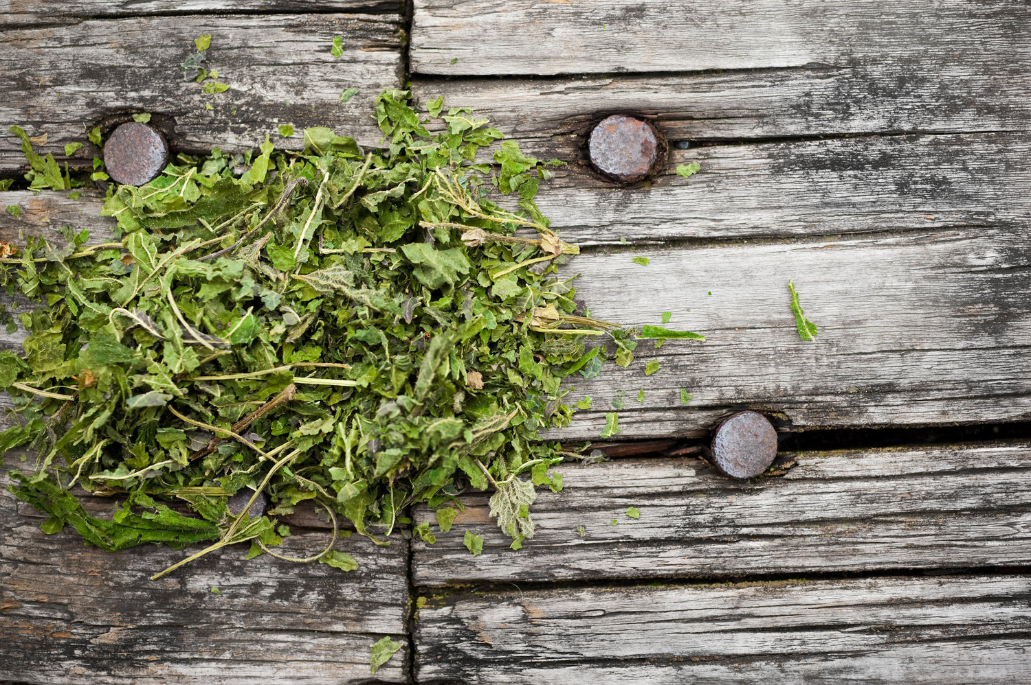 Bulk Tea (from Rishi Tea Company)