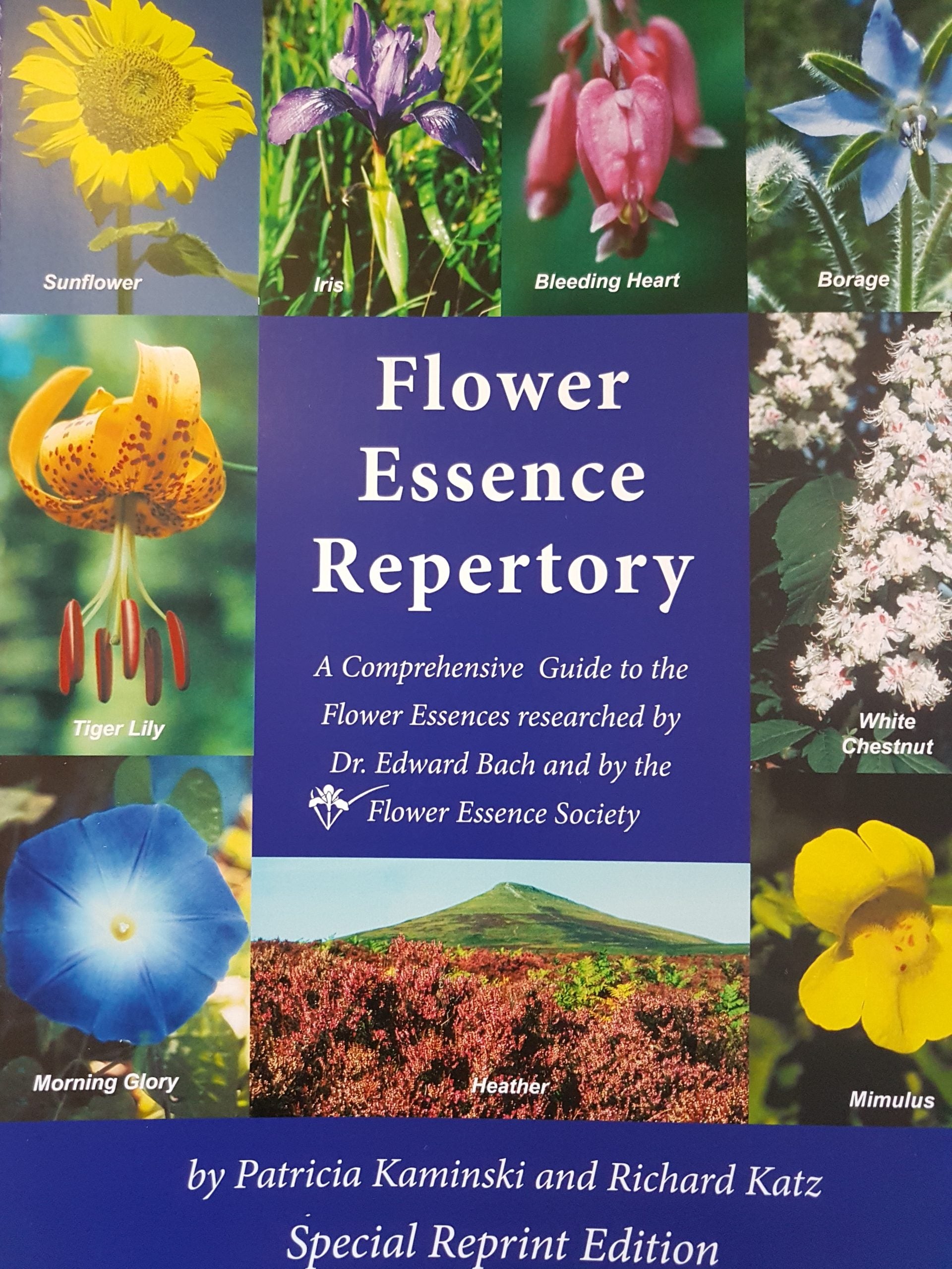 Flower Essences, Singles & Blends – HerbanWellness