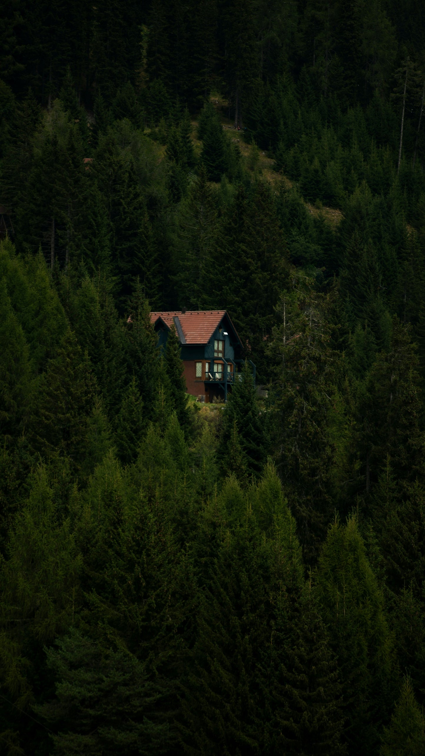 🏡 Creating A Healthy Home Biome - Sept. 28th, 2025 - Free Event