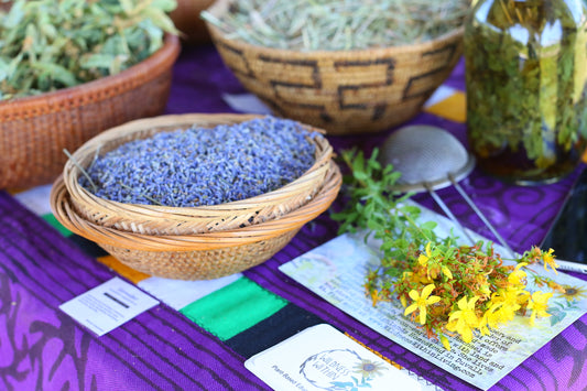 🫖Herbal Teas 101 - Part 1/3 Medicine Making Series - Oct. 23rd, 2025
