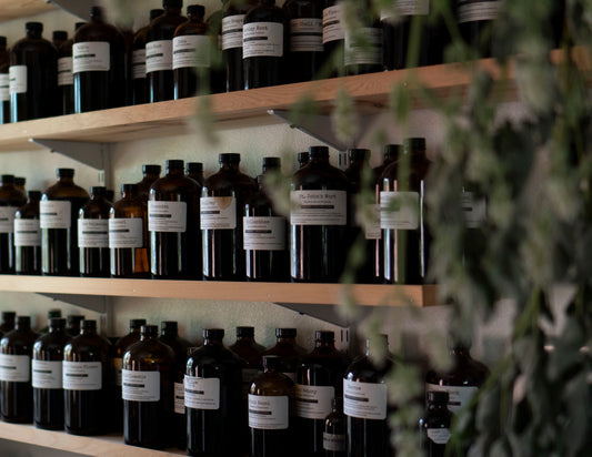 💧Herbal Tinctures 101 - Part 2/3 Medicine Making Series - Nov. 6th, 2025