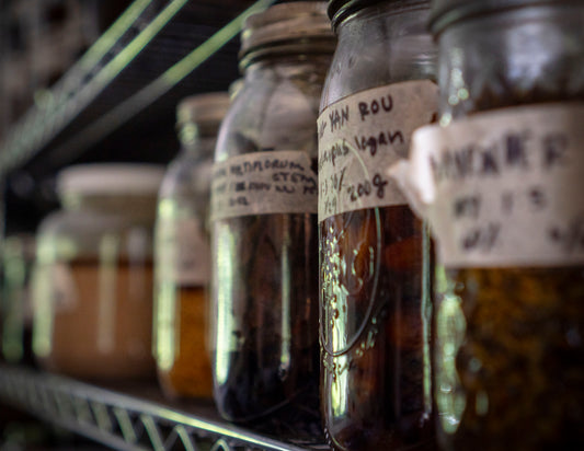 💧Herbal Tinctures 101 - Part 2/3 Medicine Making Series - Nov. 6th, 2025