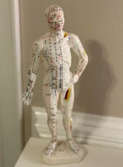 ☯️Exploring Traditional Chinese Medicine - Nov. 2nd, 2025. - Free Event