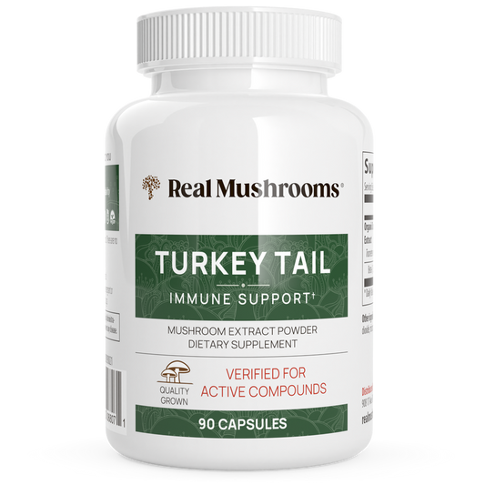 Turkey Tail Mushroom Extract Capsules